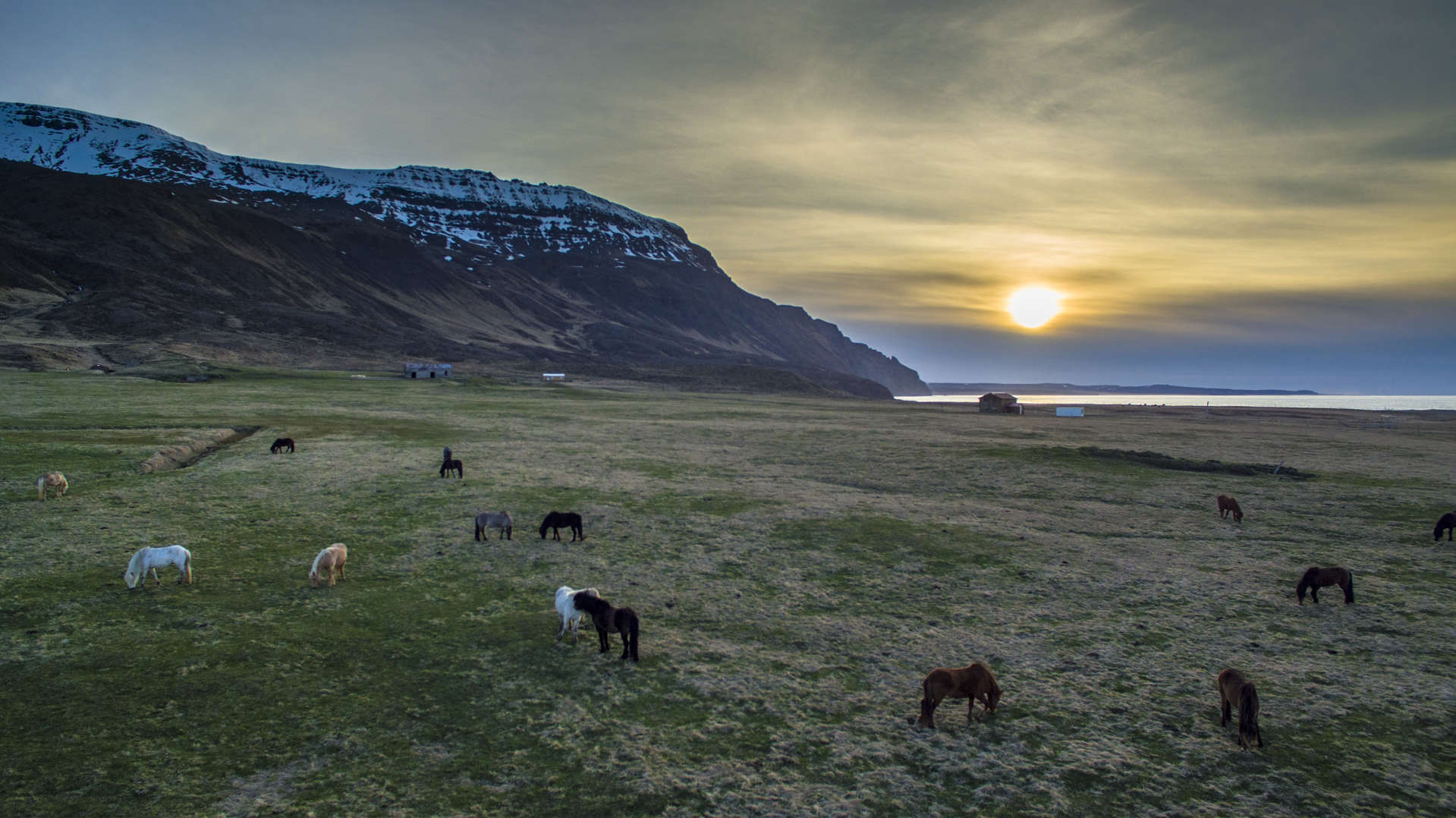 gretigslaug,Кемпинг в Исландии,  horses gretigslaug, gretigslaug western fjords, gretigslaug iceland