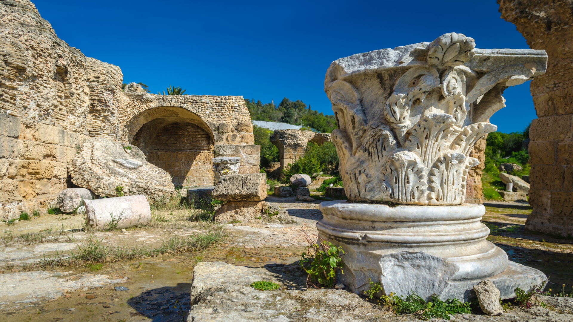 ruins if carthage, carthage ruins, antonius baths, baths of antonius, baths of carthage, what to do in carthage tunisia, carthage on budget, carthage on your own